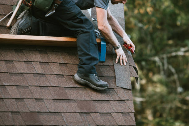 Best Roof Gutter Cleaning  in Hartford, KY
